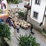 El Pareon
