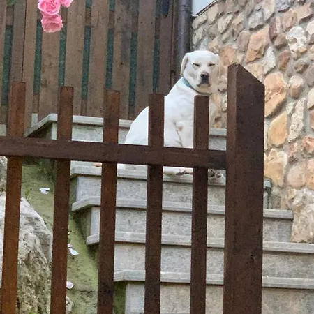 El Pareon Εξοχικό σπίτι Sirviella