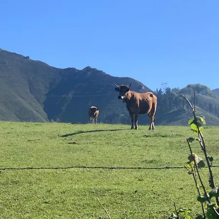 El Pareon Εξοχικό σπίτι Sirviella
