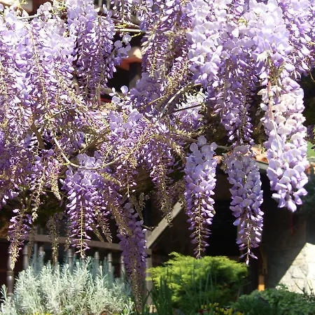 Εξοχικό σπίτι El Pareon Sirviella