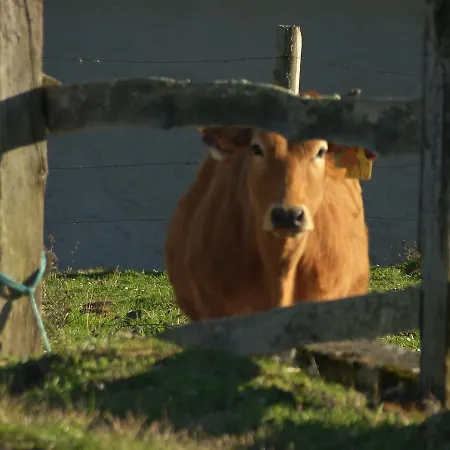 El Pareon * Sirviella