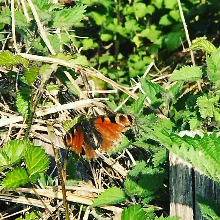 Εξοχικό σπίτι El Pareon