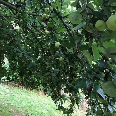 Εξοχικό σπίτι El Pareon Sirviella