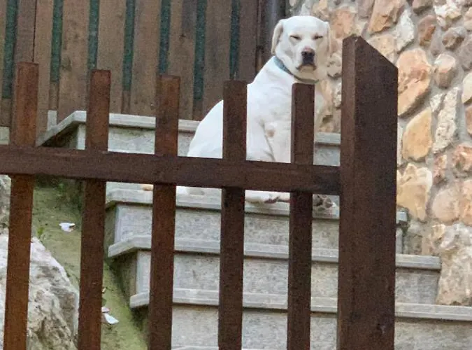 El Pareón Casa rural Sirviella