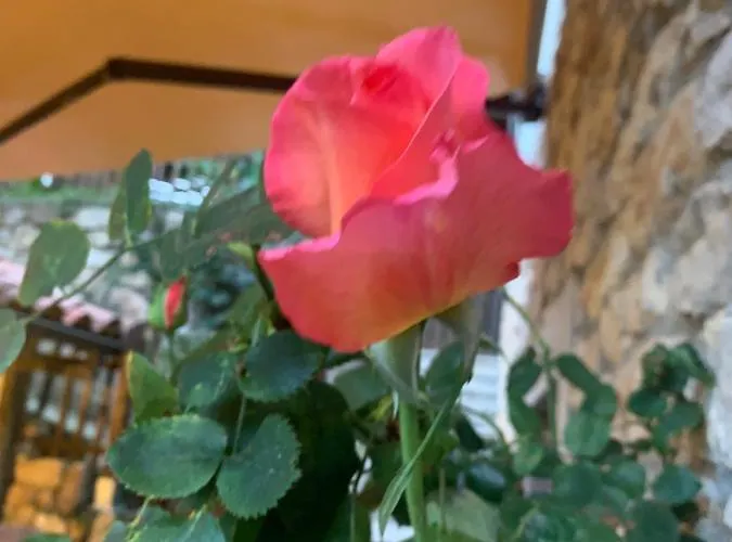 El Pareón * Sirviella