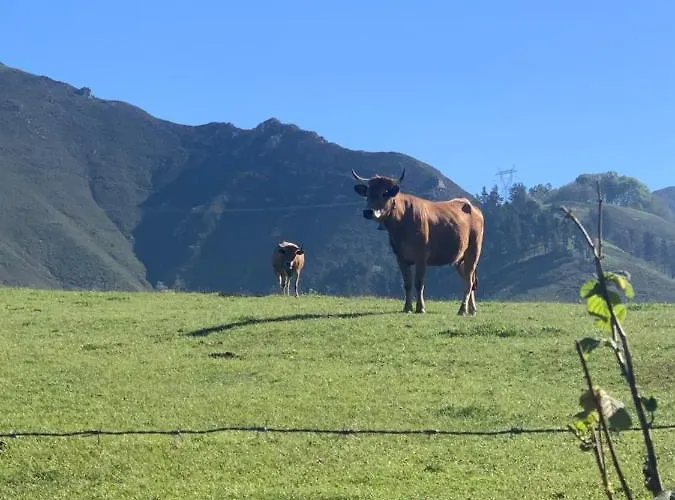 El Pareón Casa rural Sirviella