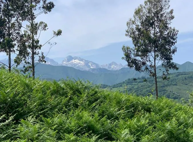 El Pareón Casa rural