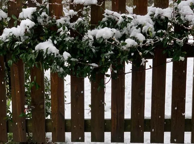 El Pareón Casa rural Sirviella