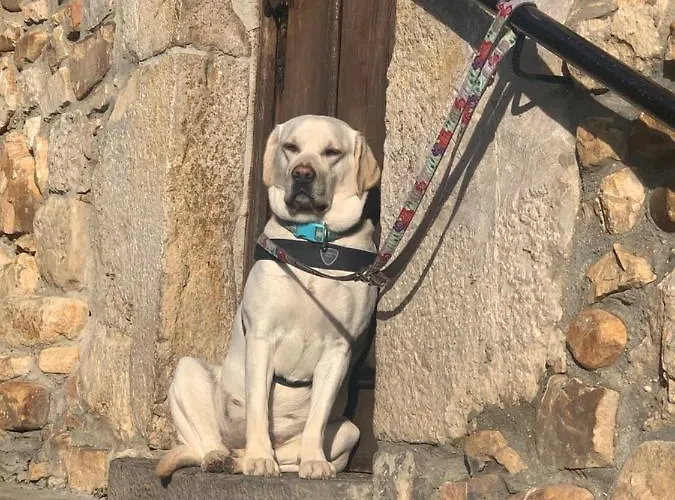 El Pareón Sirviella