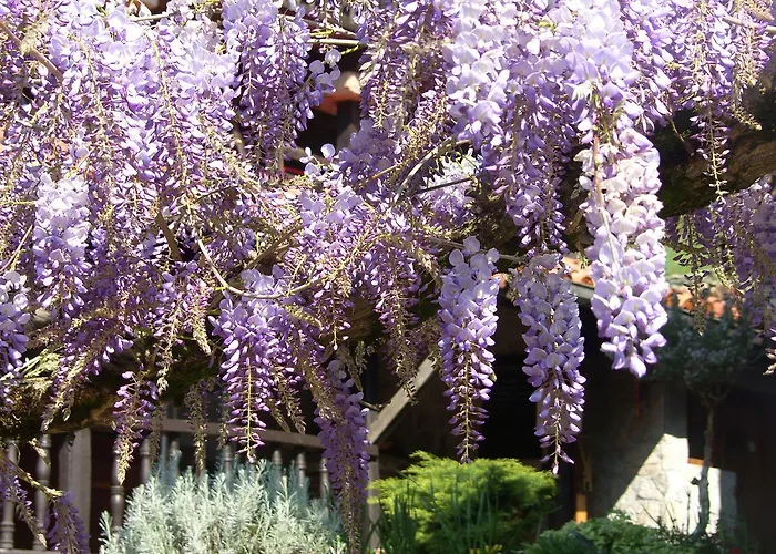 Casa rural El Pareón Sirviella