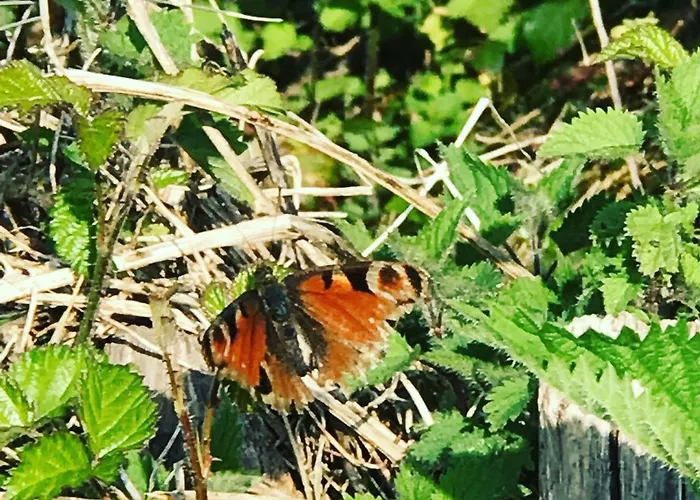 Casa rural El Pareón