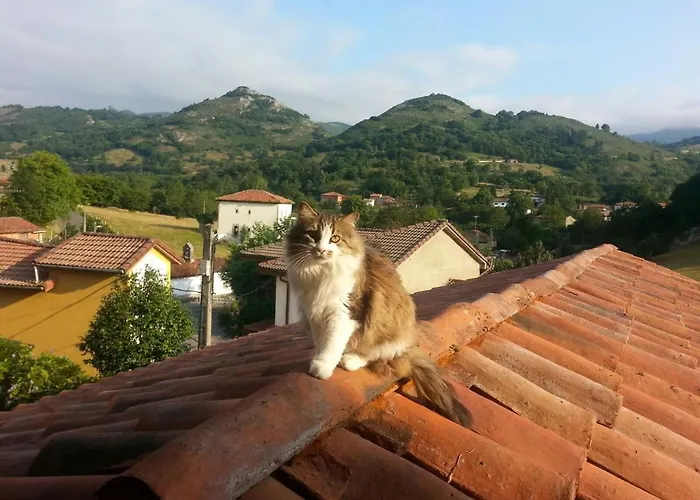 El Pareón Casa rural Sirviella