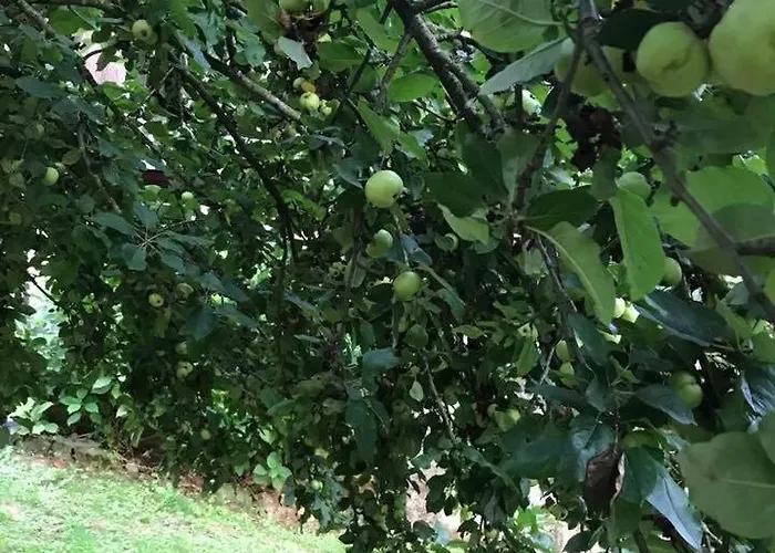 Casa rural El Pareón Sirviella