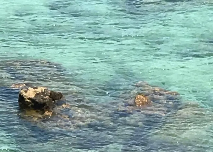 El Pareón Casa rural Sirviella